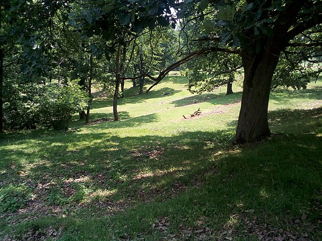 Krajina u Arboreta