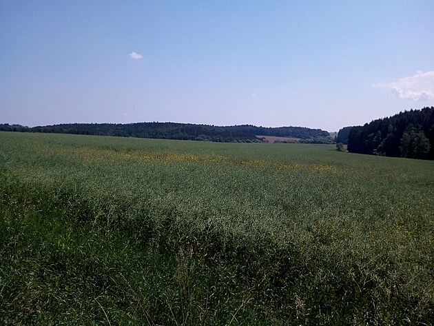 Krajina v okol� Kostelce n. �ern�mi Lesy.