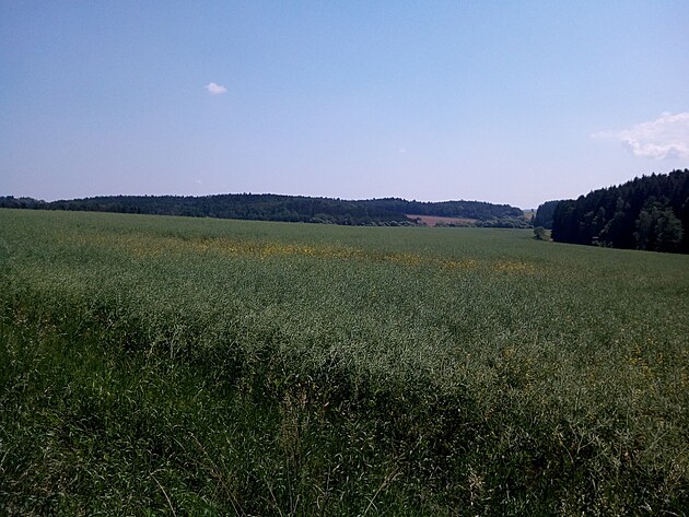 Krajina v okol Kostelce n. ernmi Lesy.