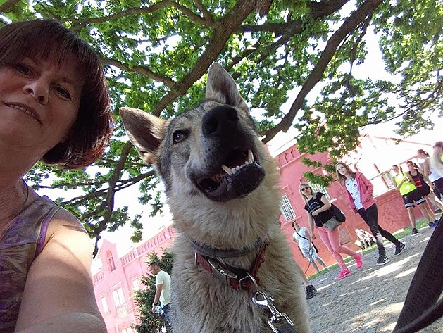 Selfie s vlčákem, Běh pro útulek v Ciboušově