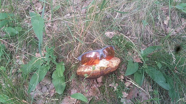 Tohle jsem v �ervnu ne�ekal. P��mo u cesty. A takhle velk�. Ale musel z�stat na sv�m m�st�.