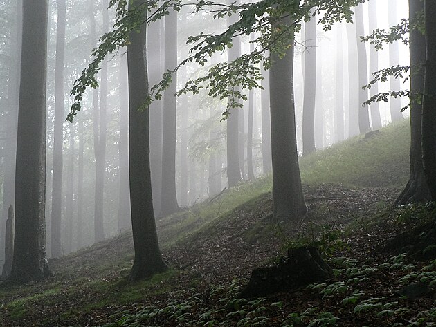 V mlze na Vl horu - jedna z pln prvnch fotografi