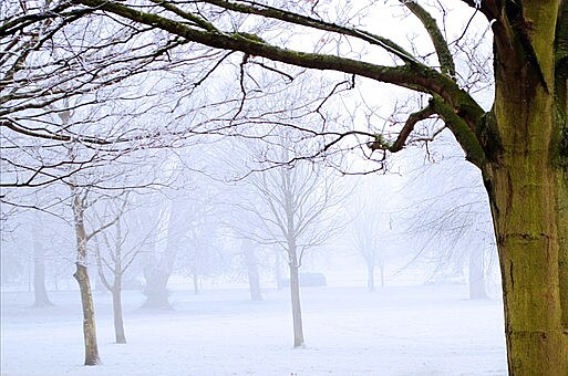 Ponur zimn krajina v Yorkshire (zdroj Pixabay)