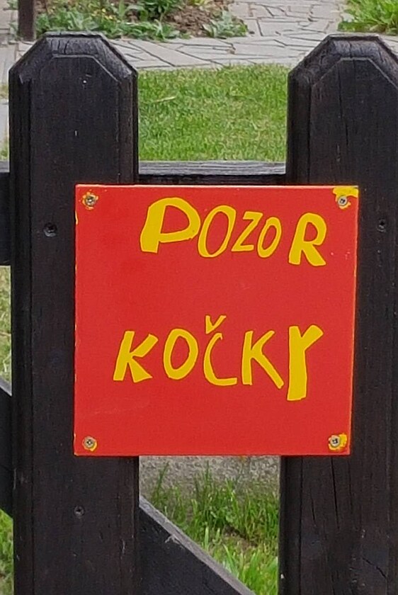 pozolr koky