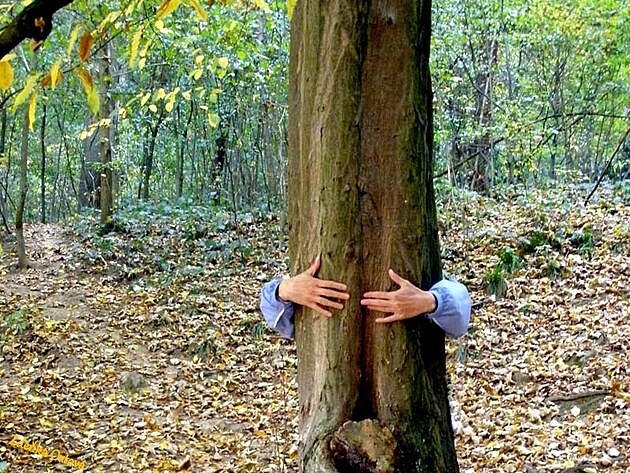 Podzimn� emoce