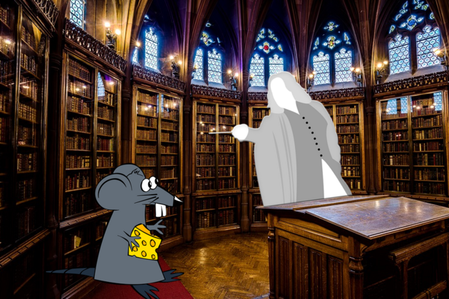 Rozezlen Severus Snape promuje Giny Weasleyovou v krysu.