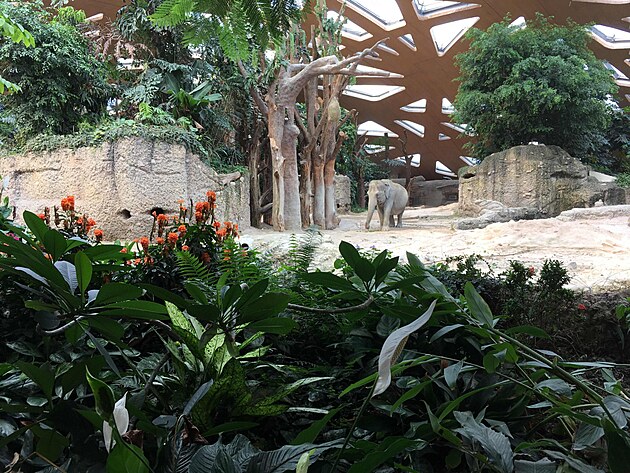 Pavilon slon
