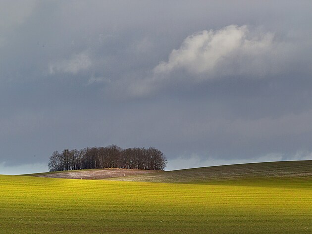 Netypick lednov krajina