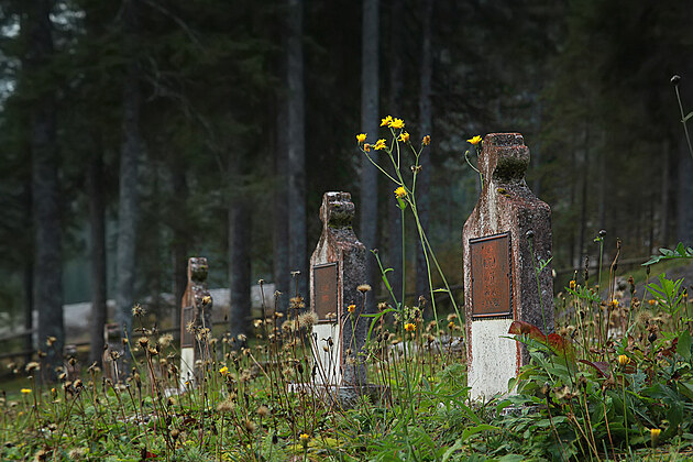 Vlen hbitov, Valbruna