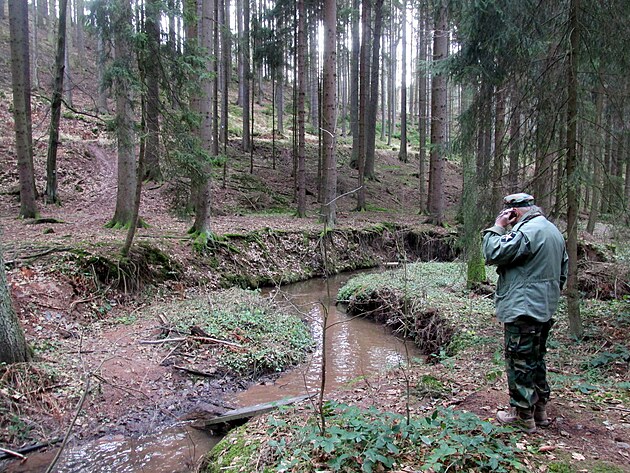Bohuel ani v tomto arokrsnm kraji civilizaci neuniknete. Nad meandrem Jevanskho potoka Pepk s nkm komunikuje mobilem.