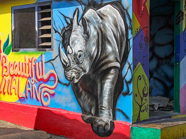 Pozor nosoroec