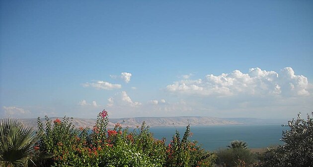 Galilejsk moe