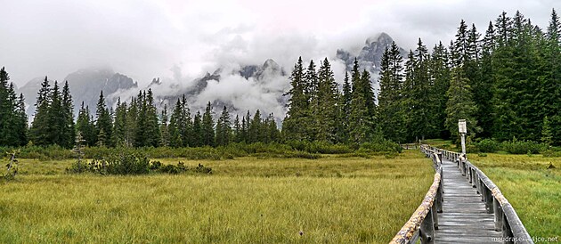 Mokřad Biotopo Monte Covolo, výhled na Dolomity a povalový chodníček s infocedulí