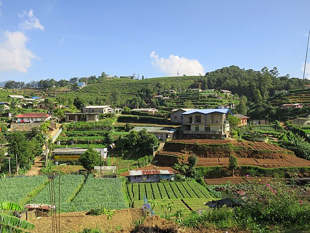 krajina u Nuwara Eliya-Mal Anglie