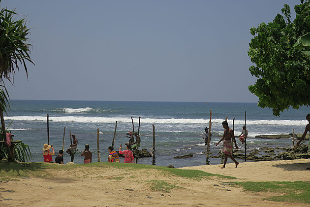 Galle -rybi na klech