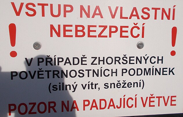 Cedulka