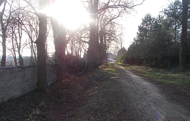 H�bitovn� zd� slunce prosv�t�, trochu.