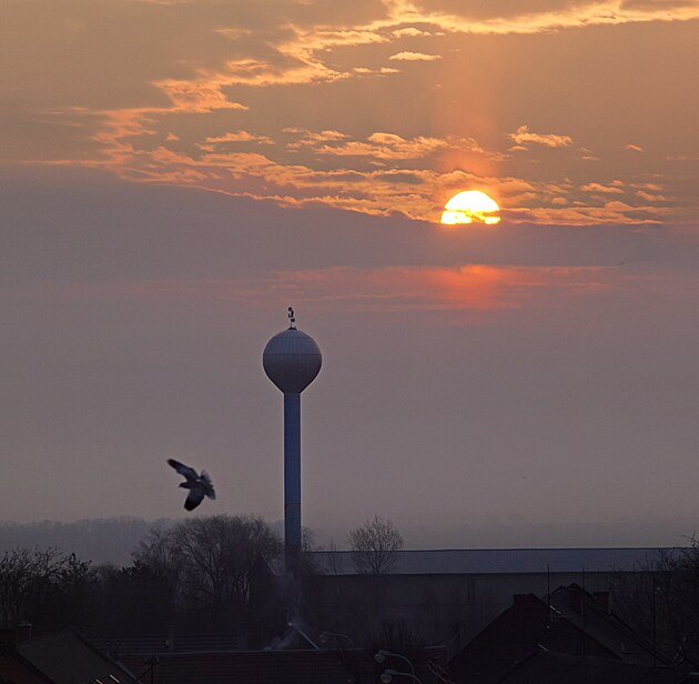 Fotografie z rna 25. bezna 2019, na svtek Zvstovn -