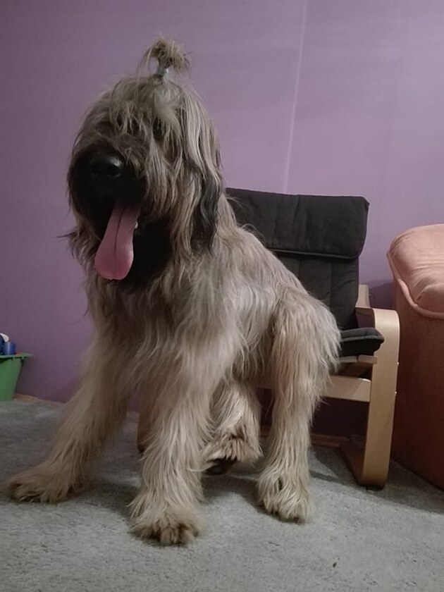 Um�m sed�t jako p�n