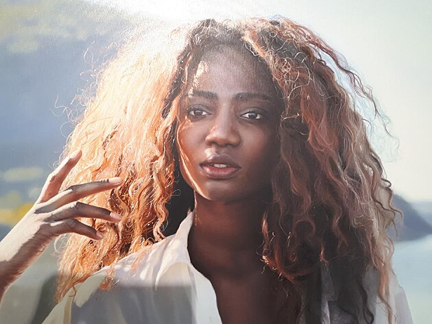 Fotorealistick obraz - Yigal Ozeri