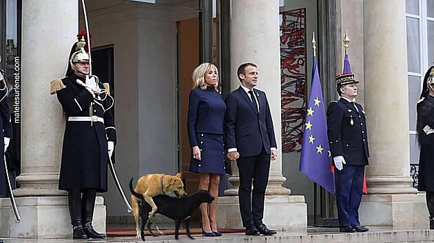 Macron