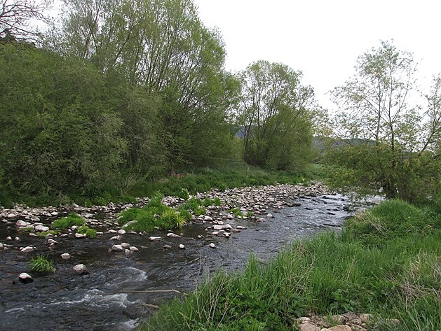 základy, očištění