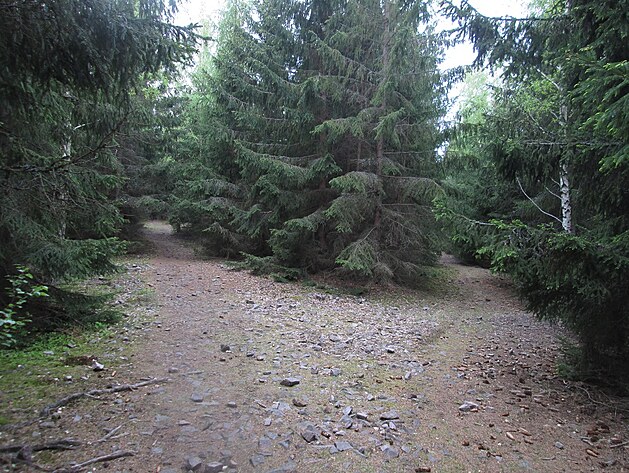 ženskou nebo mužskou cestou?