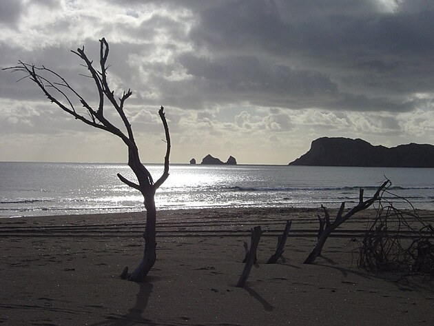 Tich� oce�n, Nov� Z�land, Eastland