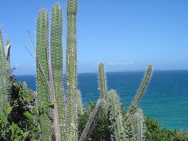 Karibsk� mo�e, Venezuela, ostrov Margarita