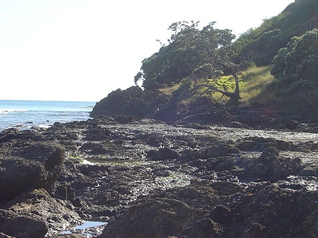 Tich� oce�n, Nov� Z�land, Eastland