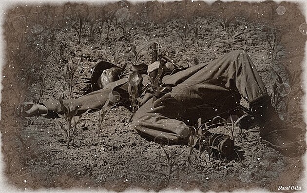 Ob�ti nesmysln� bitvy