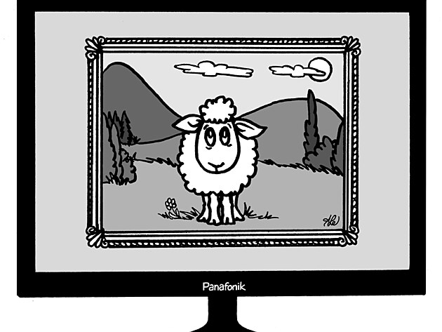 Obraz ovce na obrazovce
