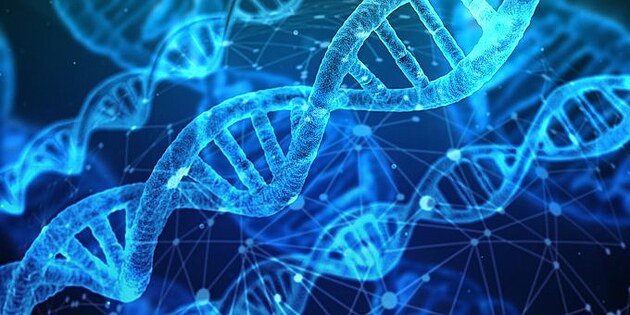 Dvouroubovice DNA