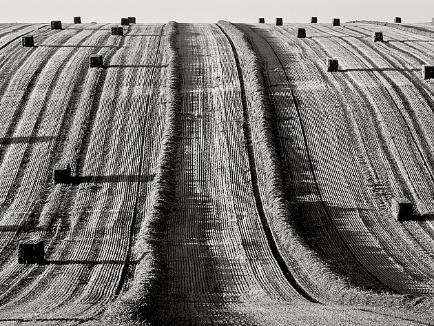 Trifidi ve skutečnosti nejsou nic jiného, než hranatí balíci