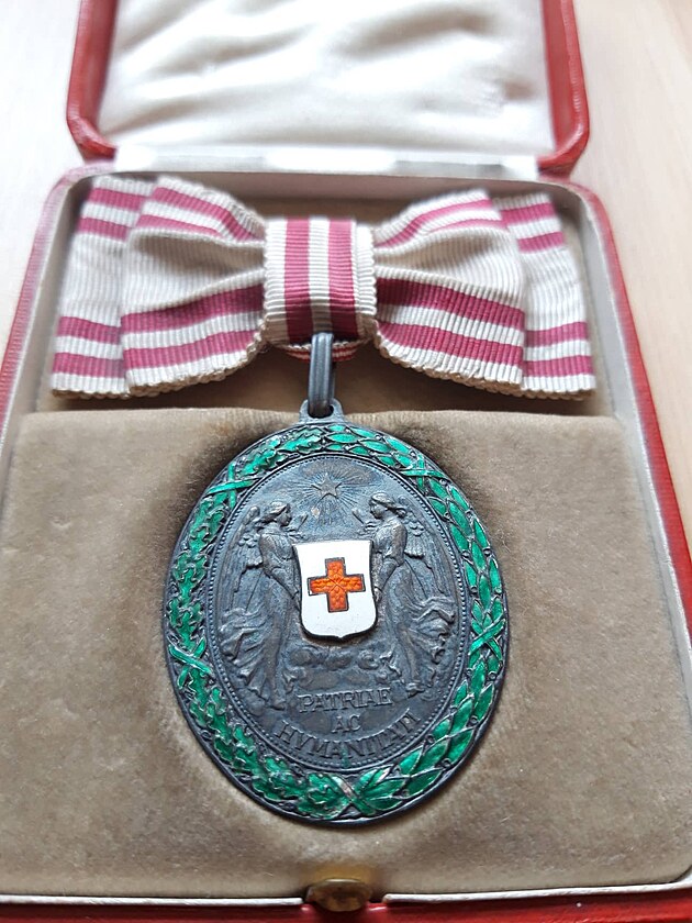 Stbrn medaile estnho vyznamenn za zsluhy o erven k na dmsk stuze, 1914