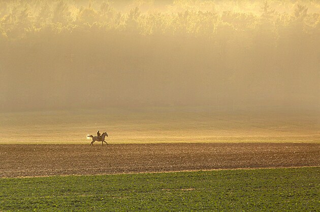 ��jnov� odpoledne a st�le o��vaj�c� legenda o kn�n� Ann� z Lichten�tejna a jej�ch proj��k�ch po okol� �sova po��tkem 17. stolet�.