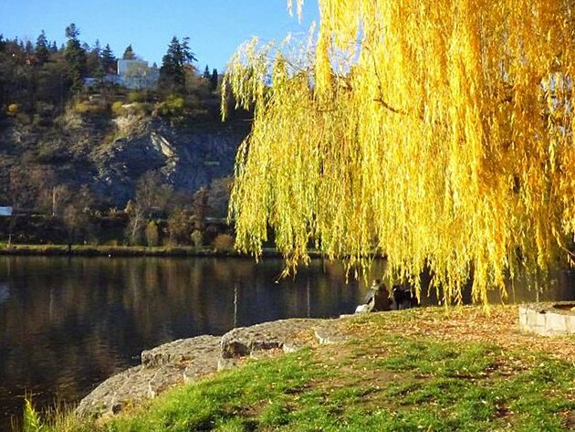 U Vltavy v Bran�ku