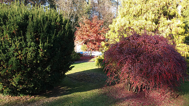 Mnoh  zahrady jsou pestr i na podzim