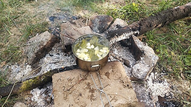 Ne, dn bioaj. Malink, ostruink a jablka jsme si natrhali sami.