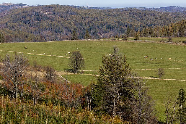 Pohled z rozhledny