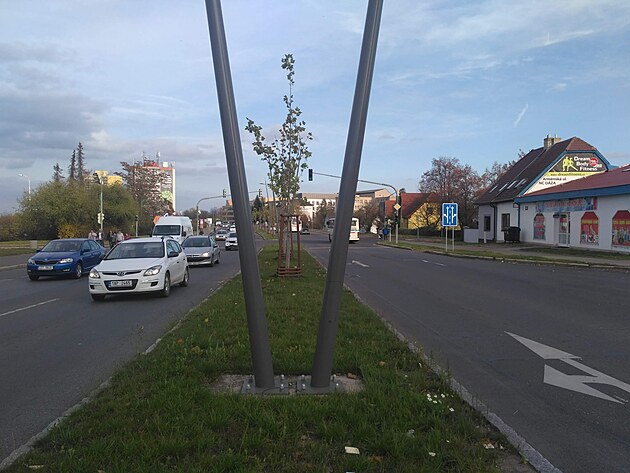 zele� ve m�st�