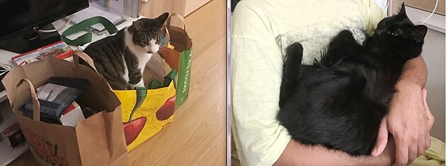 Prozkoum�n� d�rk� je p��mo povinnost. - Stejn� jako odpoledn� "ukol�bavka".