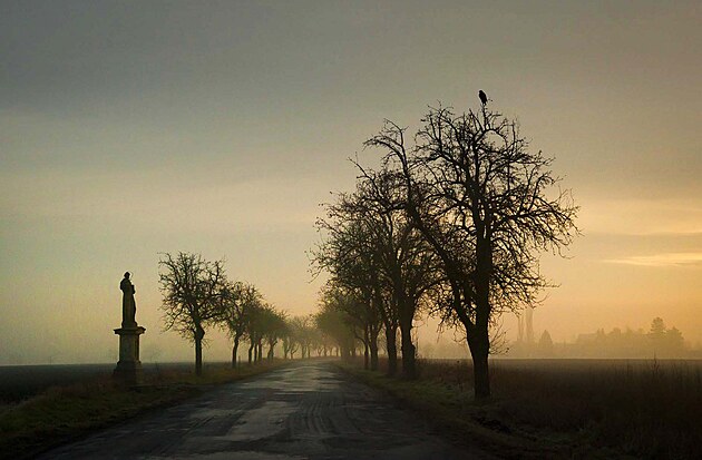 (fotografie MT)