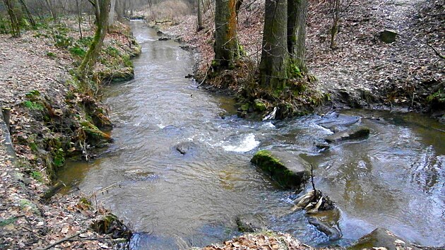 Dobranovsk potok