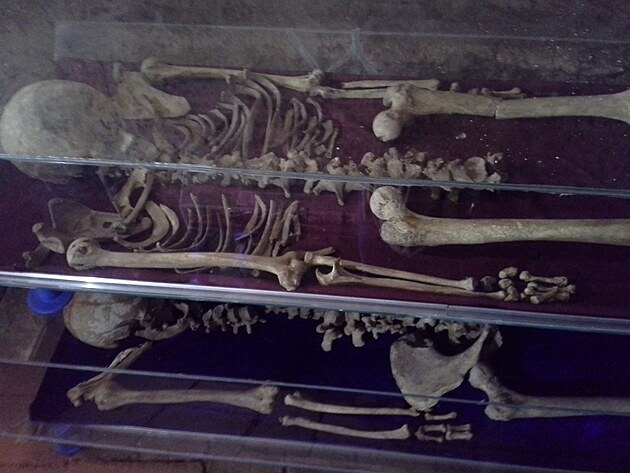 Kostra z pedkesansk doby, nalezen pod podlahou kostela