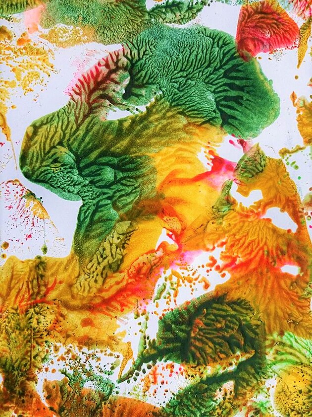 Detal s motivem lv��ete.