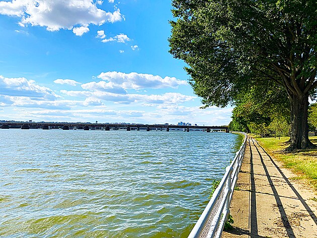 eka Potomac, kter protk Washingtonem, to zde m k st  do moe u opravdu pouze kousek a tak je to docela mohutn tok.