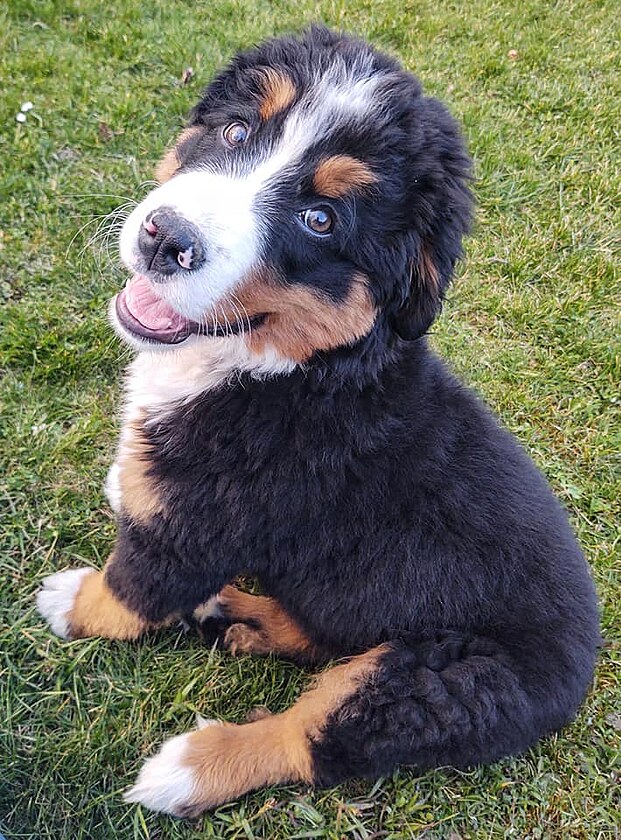 Jen pro ten pohled stoj� za to ��t!