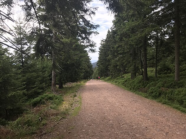 Fuj to byla d�ina!