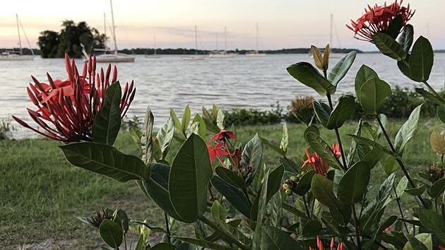 Pohled na �eku Maroni